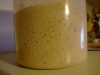 Nohut Mayası Tarifi ve Malzemeleri Nohut Mayası Tarifi ve Malzemeleri